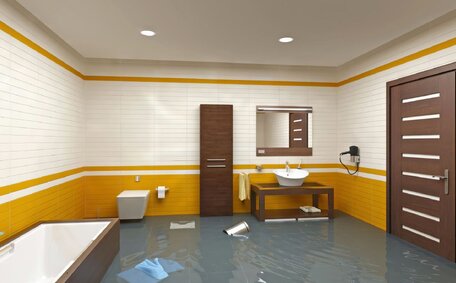 Plumber Prevent Mold Home?